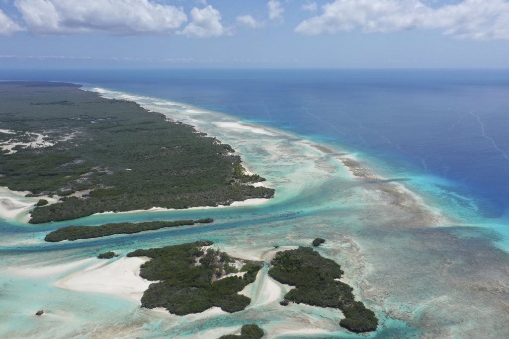 Atol de Aldabra: guardião dos tubarões e raias no arquipélago de Seychelles