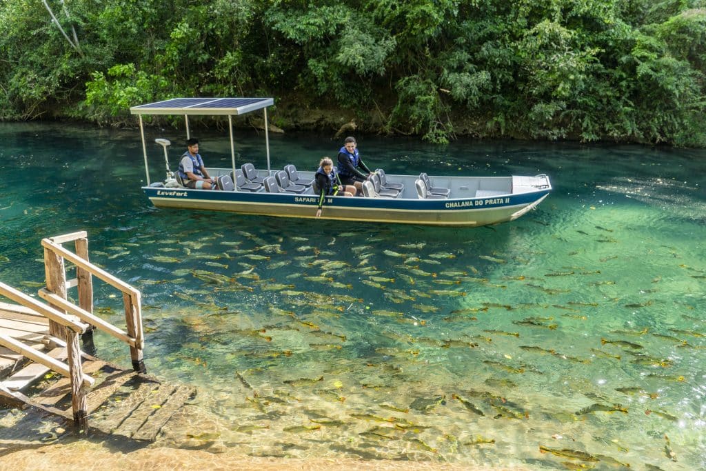 Passeios memoráveis e sustentáveis para conhecer no Mato Grosso do Sul