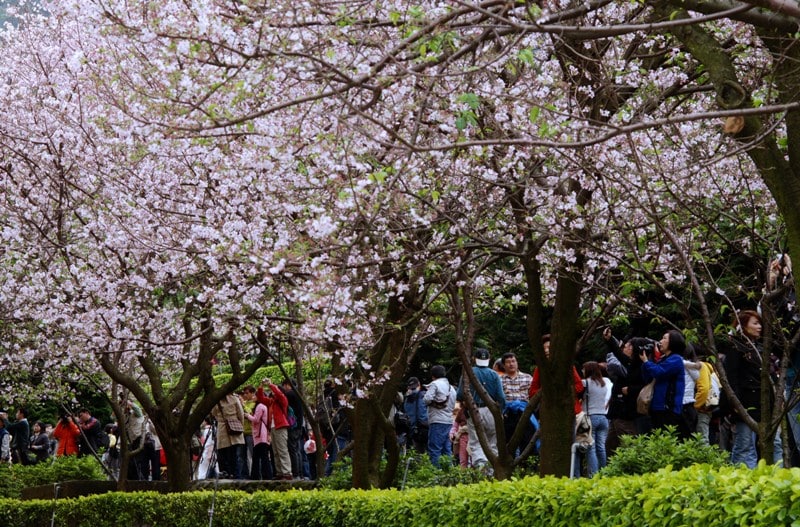 Parque Nacional de Yangmingshan