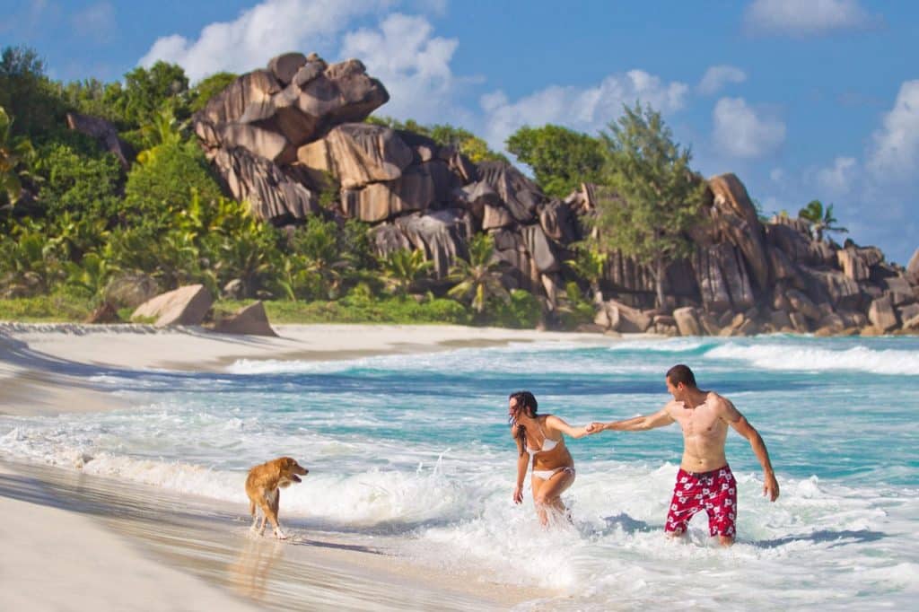 Seychelles pode se tornar o cenário de um dos momentos mais importantes da vida a dois, o pedido de casamento.