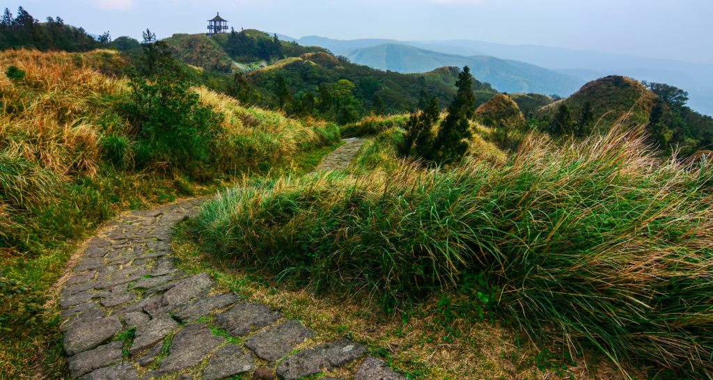 Yangmingshan: o parque nacional que mostra o lado natural de Taipei na primavera
