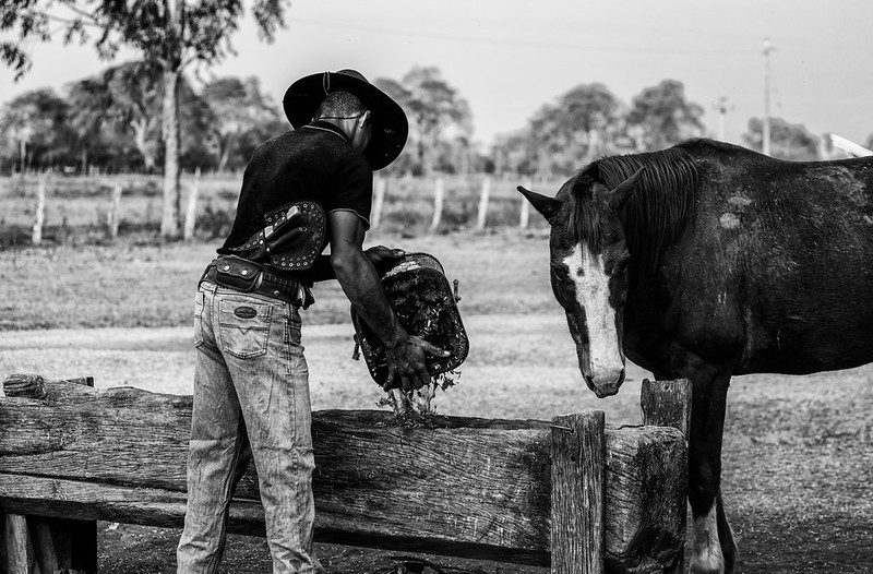 Far Beyond the Pantanal - The Riches of Mato Grosso do Sul